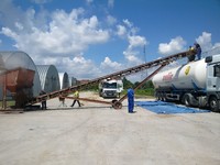 Loading of dried sugar beet in tankers