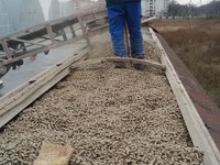 Railway transshipment of pelleted dried sugar beet pulp performed on 6th-7th March, 2017 in the quantity of 702 t Short video and photos can be seen here 