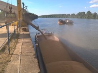 Realizovan utovar 3.011,48 t  pšenice u plovila u period od 03. do 06.08.2016.