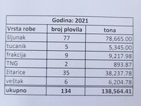 Pretovarene kolicine na vodi u 2021. godini