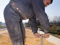 Successful loading of corn in february