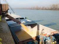 Rail loading of grains